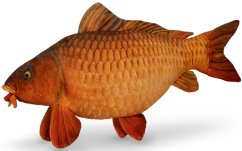 Plyšový kapor Delphin CARPY