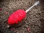 Promix Carp Base Pellet