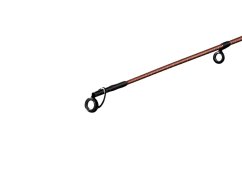 Delphin EXPLOZA HARD 300cm/70g/2 diely