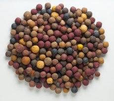 Mivardi Rapid Boilies - Multi Mix (5kg)