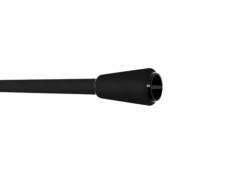 Delphin ETNA LEGEND4RY 270cm/2,75lbs/2 diely