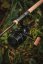 Navijak GIANTS FISHING Deluxe Reel FS 9000 + cievka 8000 ZDARMA!