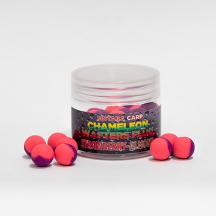 MOTABA CARP WAFTERS CHAMELEON FLUO 15MM