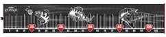 Fox Rage Meter Medium Fish Measure 110 cm