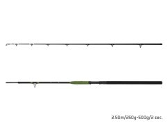 Delphin ENERGY Catfish 310cm/250-500g/2 diely