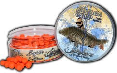 MOTABA CARP JAKUBECZ KÁLMI WAFTER