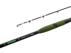 Delphin ENERGY Catfish 310cm/250-500g/2 diely