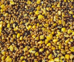 Poseidon Varený partikel 3Mix 3kg (Kukurica, tigrí orech,konope)