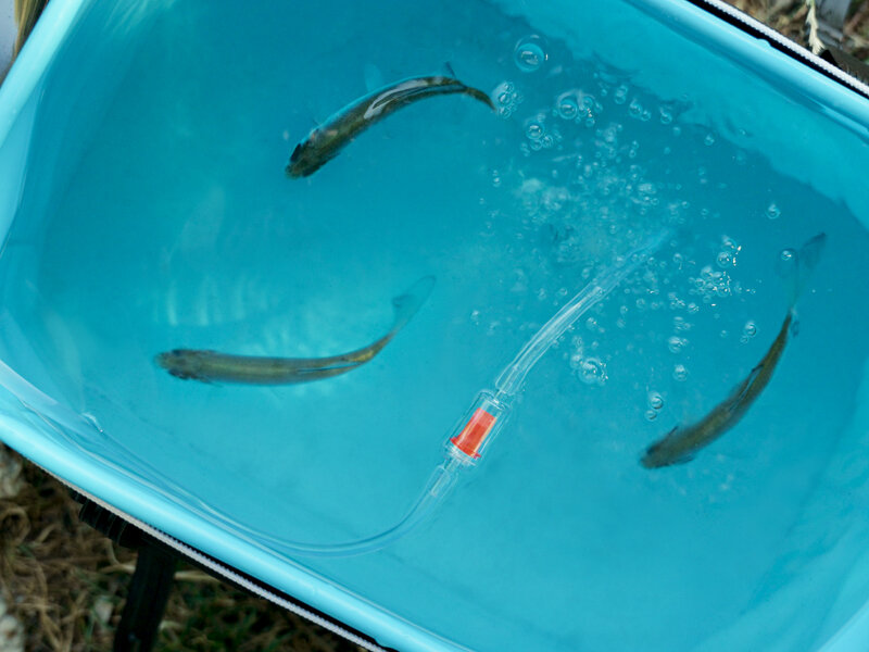 Okysličovač Delphin HydrO2