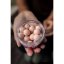 Carp Inferno Pop - up Boilies 16 mm 150 ml Chaos