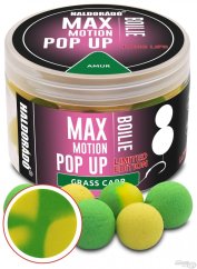HALDORÁDÓ MAX MOTION Boilie Pop Up 16 mm Limited Edition - Amur