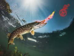 Delphin STINX SPRAY / 30 ml aroma spray - Osztriga/Piros