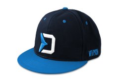 Sapka Delphin RAWER SnapBack