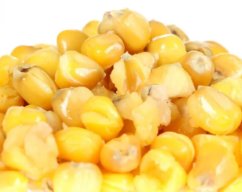 Poseidon Extreem Carp Partikel kukurica 3 kg